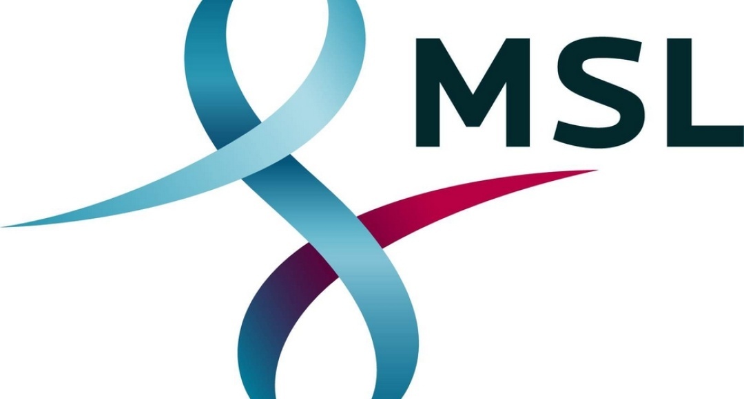 MSL Berlin holt Susteck und Wastl ins Team